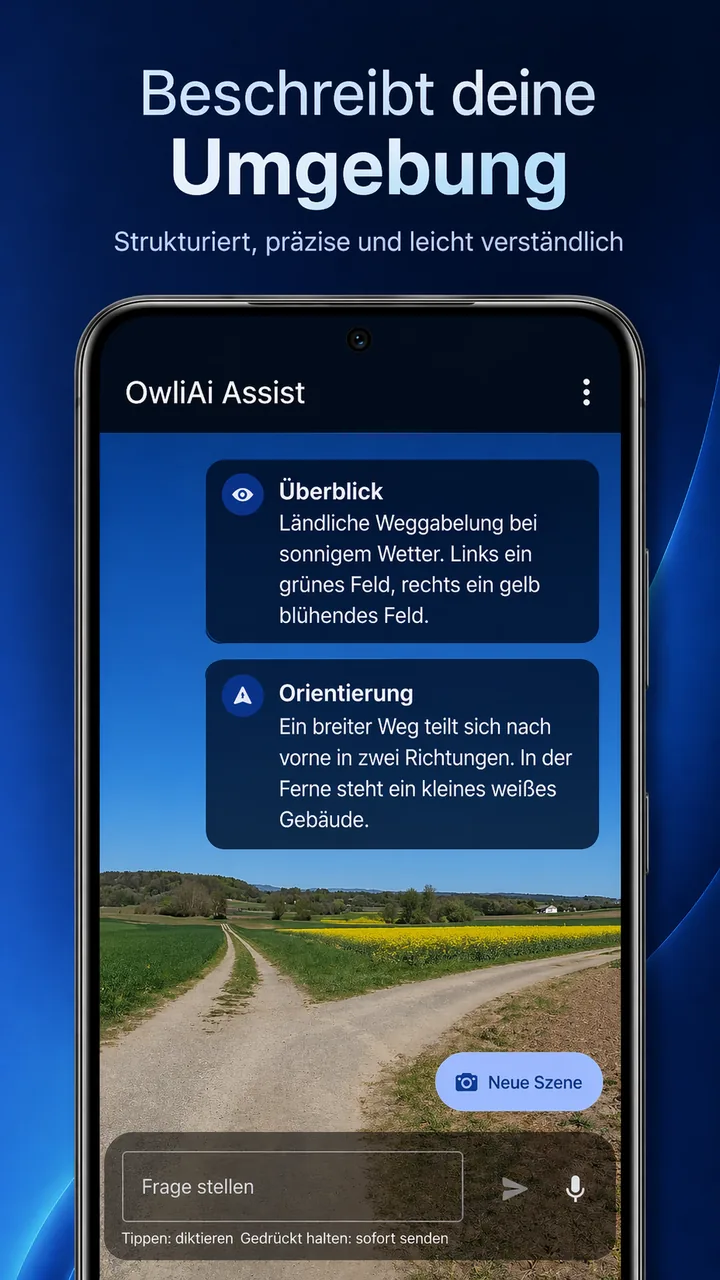 Assist erklärt eine Weggabelung auf dem Land und zeigt strukturierte Orientierungshinweise in Antwortkarten